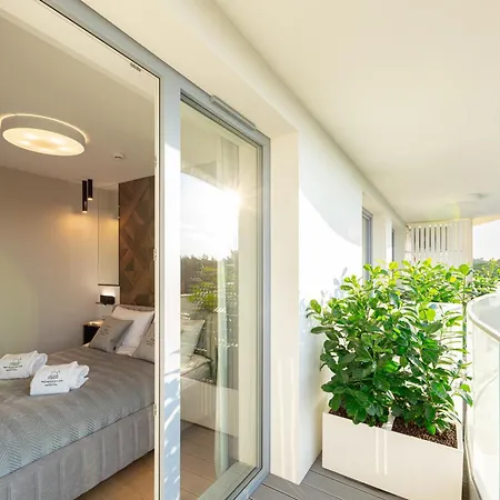 Tree Crown Sea Side Pearl Apartment