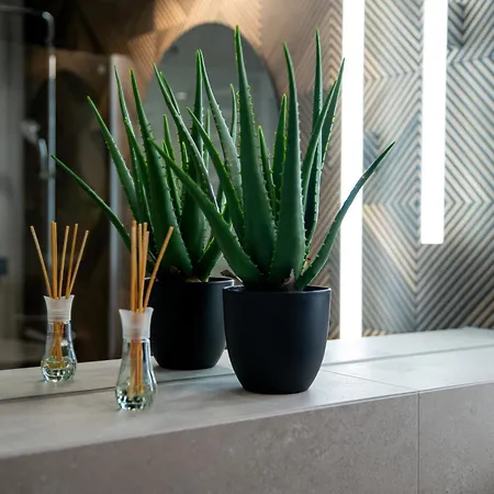 Apartmán Tree Crown Sea Side Pearl