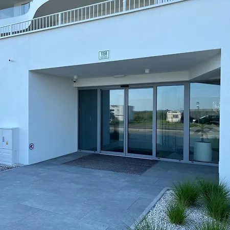 Tree Crown Sea Side Pearl