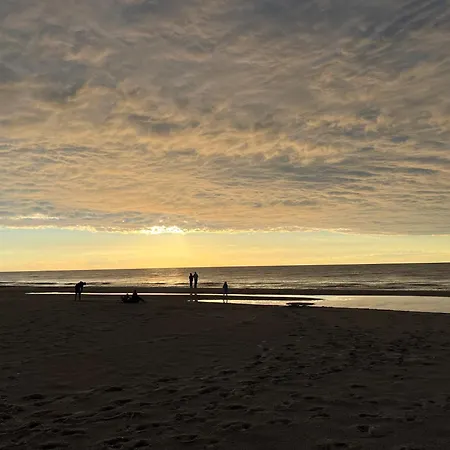 Tree Crown Sea Side Pearl * Rogowo (Gryfice)