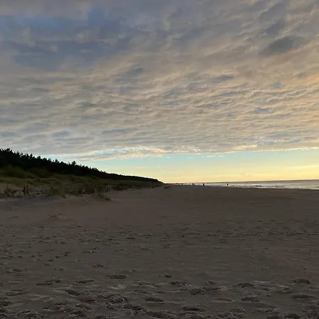 Tree Crown Sea Side Pearl * Rogowo (Gryfice)