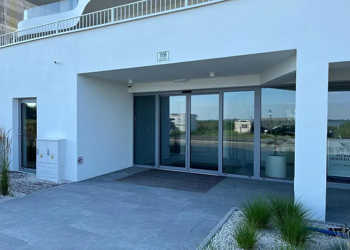 Tree Crown Sea Side Pearl