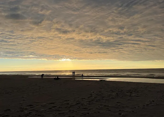 Tree Crown Sea Side Pearl * Rogowo (Gryfice)