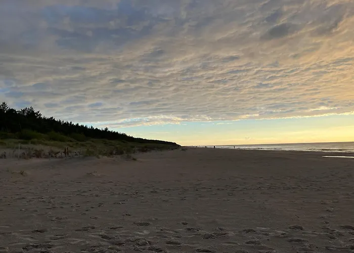 Tree Crown Sea Side Pearl * Rogowo (Gryfice)